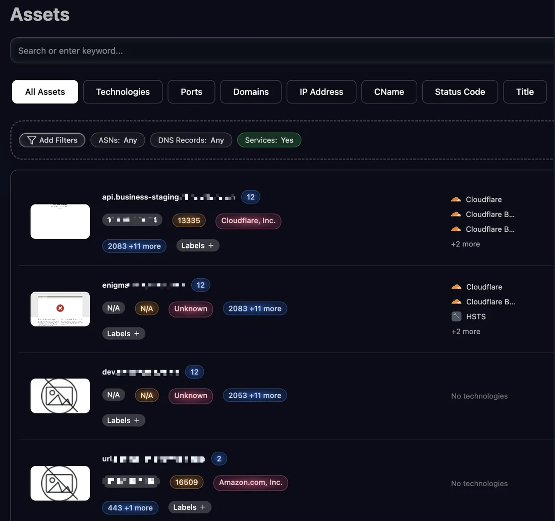 The assets explorer: every discovered host with its ports, providers, technologies and labels, filtered by ASN, DNS records and services