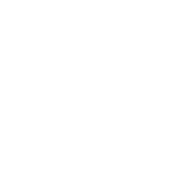 API Integration