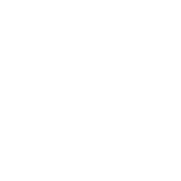 API Integration
