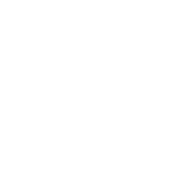 API Integration