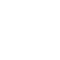 API Integration