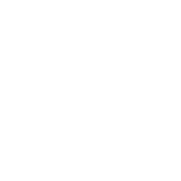 API Integration