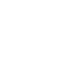 API Integration