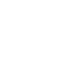 API Integration