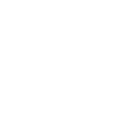 API Integration