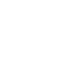 API Integration