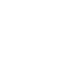 API Integration