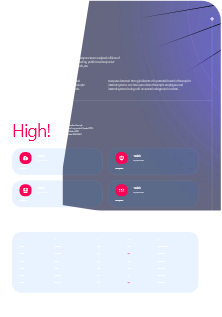 Executive summary report