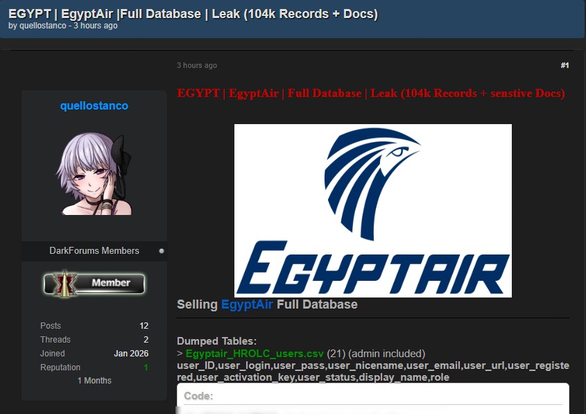 EgyptAir database listing advertised by Quellostanco