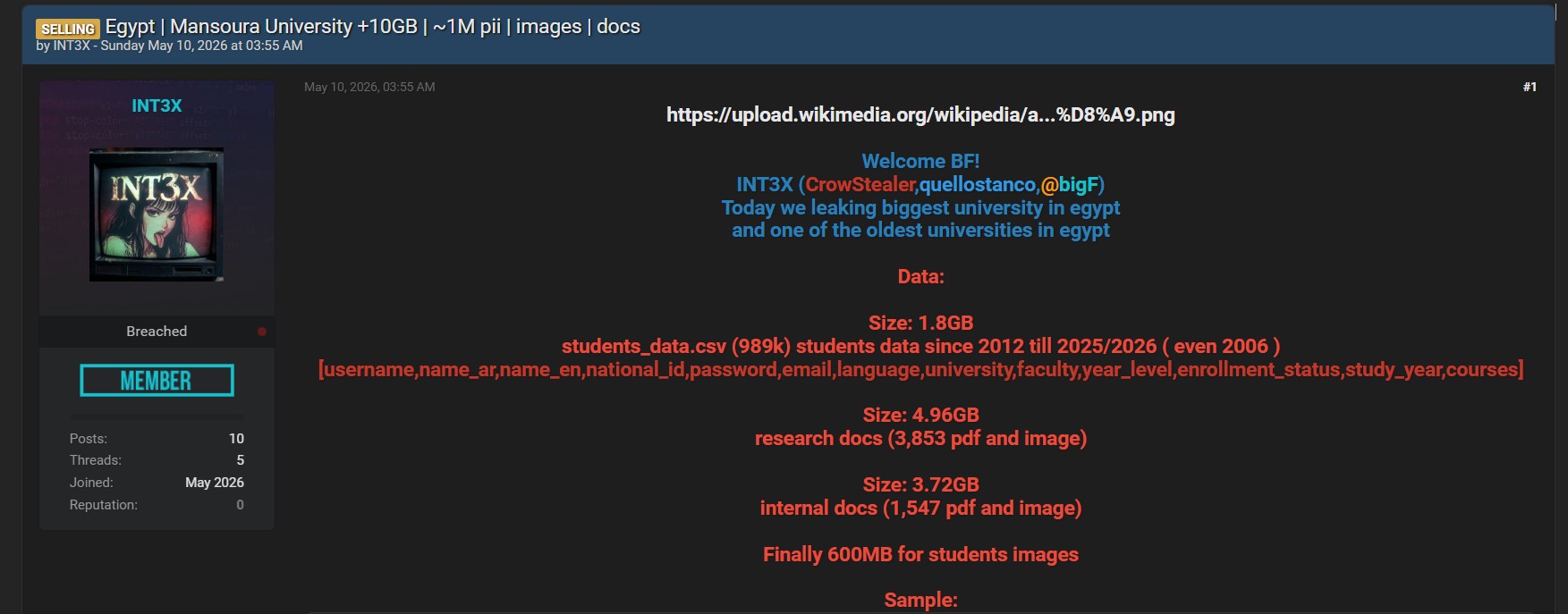 Mansoura University breach advertisement